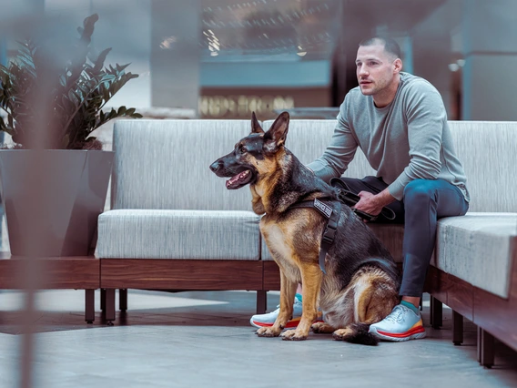 Service dog with handler