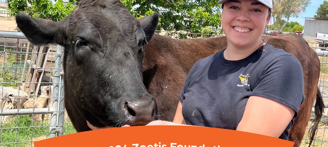 A woman stands next to a cow and smiles. At the bottom of the photo, text reads "Congrats 2024 Zoetis/AAVMC Veterinary Student Scholars!"