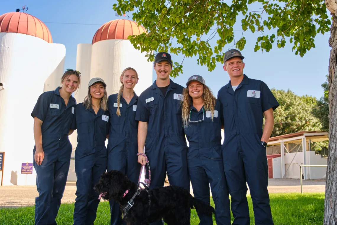 vetcats at the campus agricultural farm
