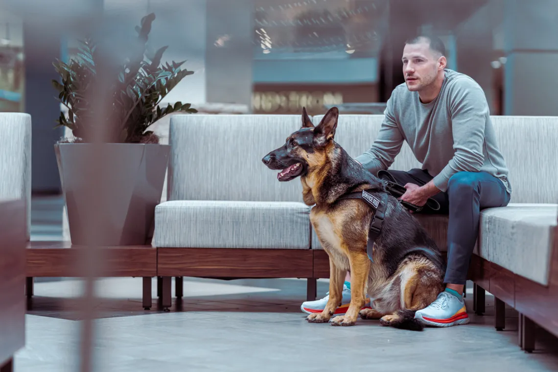 Service dog with handler