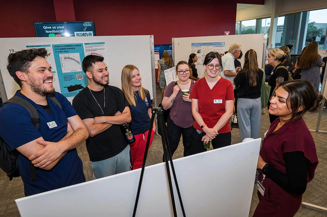 Summer research program