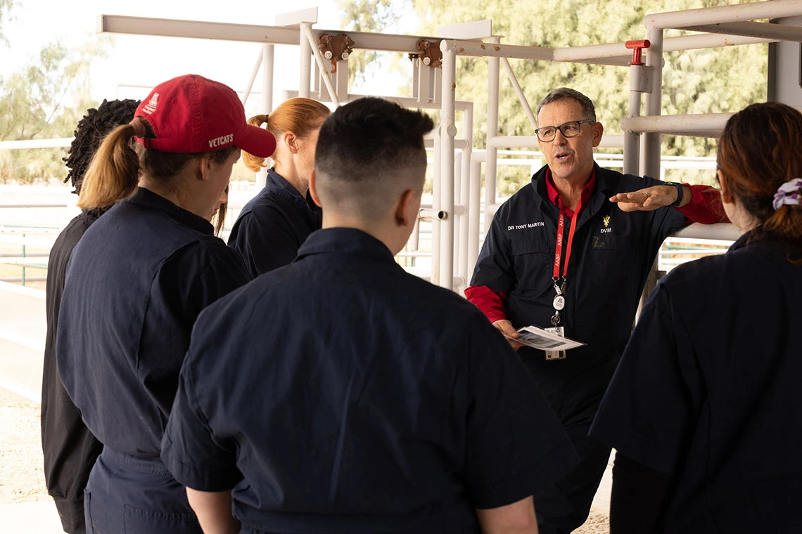 cvm faculty member teaching students at the farm