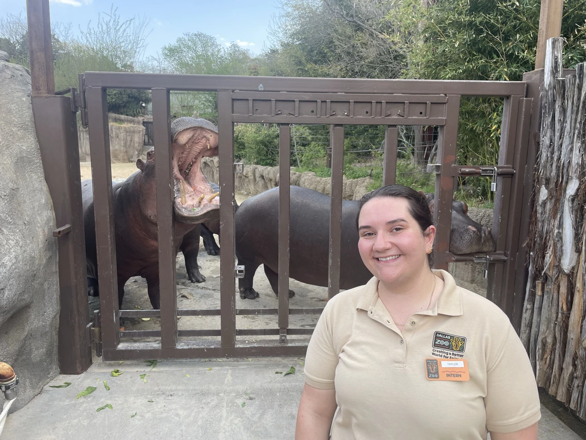 Taylor interning at the dallas zoo