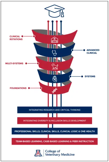 Curriculum graphic